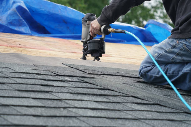 Roof Gutter Cleaning in Bremen, GA