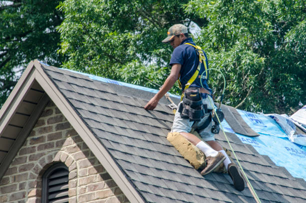Best Roof Maintenance Services  in Bremen, GA